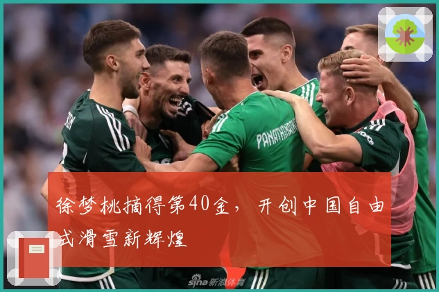 徐梦桃摘得第40金，开创中国自由式滑雪新辉煌