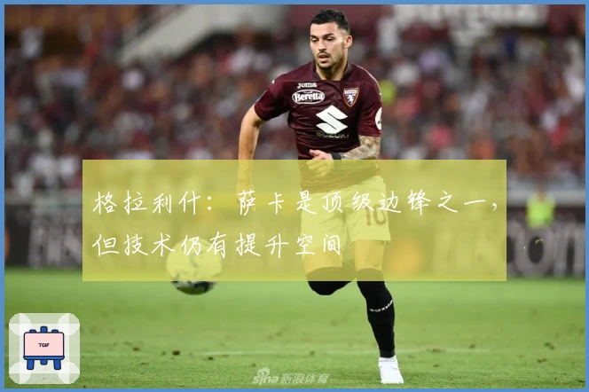 格拉利什：萨卡是顶级边锋之一，但技术仍有提升空间