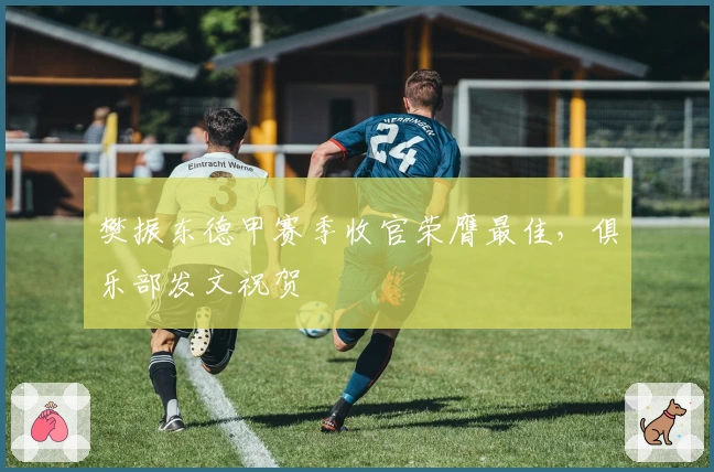 樊振东德甲赛季收官荣膺最佳，俱乐部发文祝贺